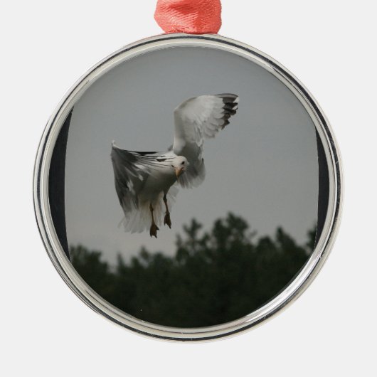 Foto Large Oval Frame hinzufügen (schwarz) Silbernes Ornament (Vorne)