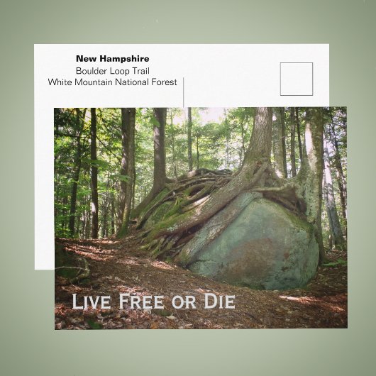 Foto 'Lebe frei oder stirb New Hampshire' Postkarte