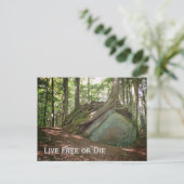 Foto 'Lebe frei oder stirb New Hampshire' Postkarte (Stehend Vorderseite)