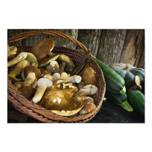 Foto "Lebensdauer im Herbst" (Vorne)