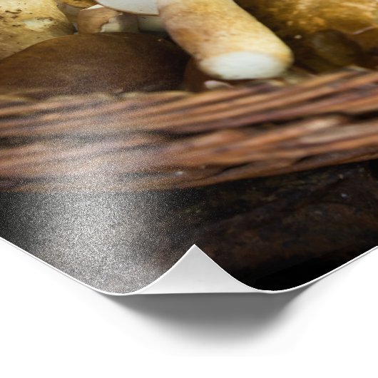 Foto "Lebensdauer im Herbst" (Ecke)