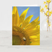 Foto Locarno Karte (Gelbe Blume)