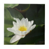Foto Lotus floral Tile Fliese (Vorderseite)