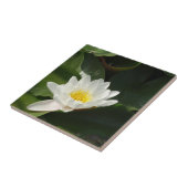 Foto Lotus floral Tile Fliese (Seite)