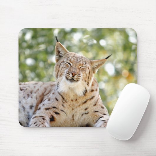 Foto-Luchs-Katze Mousepad (Mit Mouse)