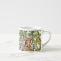 Foto Luchs , Katze , Tiere , Espressotasse