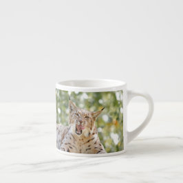 Foto Luchs , Katze , Tiere , Espressotasse
