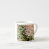 Foto Luchs , Katze , Tiere , Espressotasse (Vorderseite Rechts)