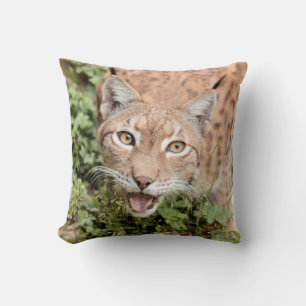 Foto lynx , katze , tiere . werfen kissen