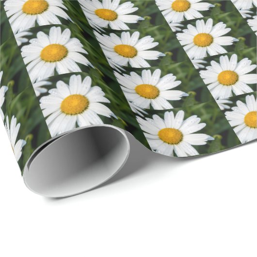 Foto machen ein margueritte, Tropfen Wasser, Grün Geschenkpapier (Rolleneckpunkt)