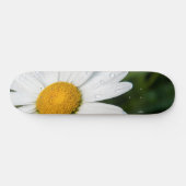 Foto machen ein margueritte, Tropfen Wasser, Grün Skateboard (Horizontal)