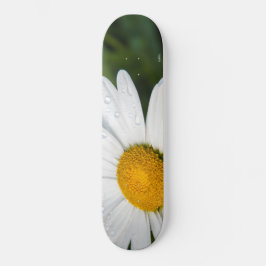 Foto machen ein margueritte, Tropfen Wasser, Grün Skateboard