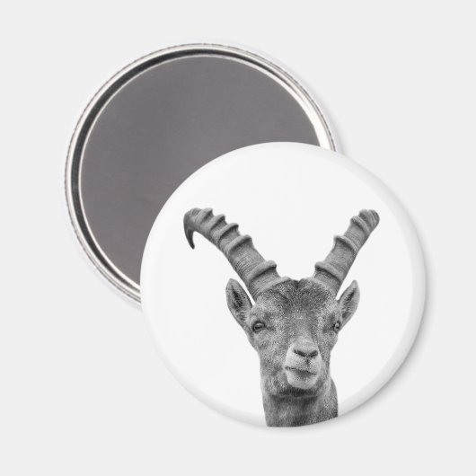 Foto Magnet (Vorderseite/Rückseite)