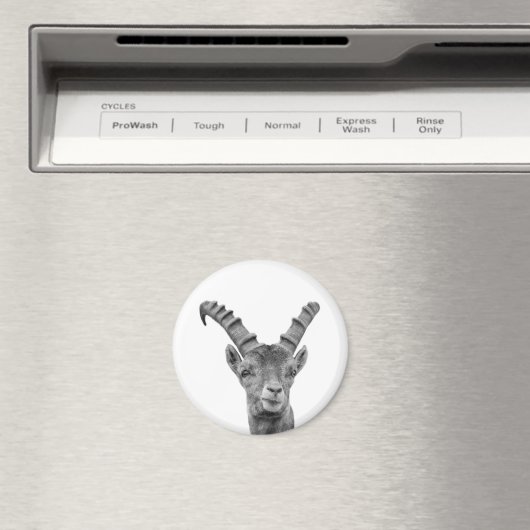 Foto Magnet (In Situ (Geschirrspüler))