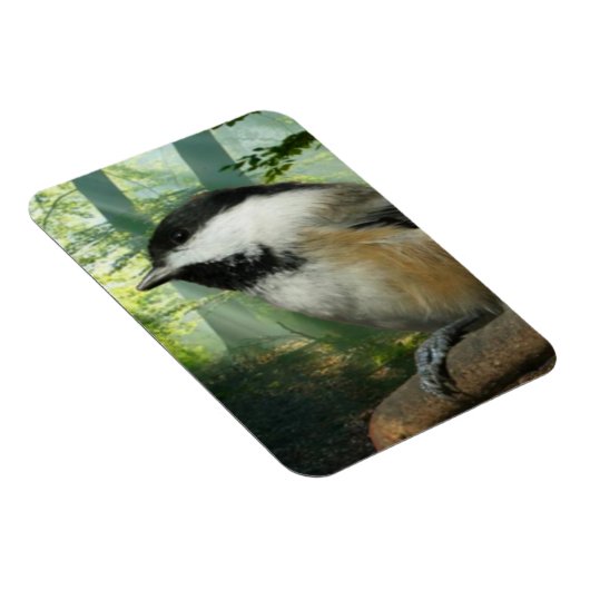 Foto-Magnet 3x4 Magnet (Rechte Seite)