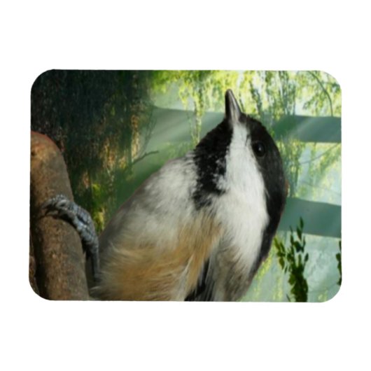 Foto-Magnet 3x4 Magnet (Horizontal)