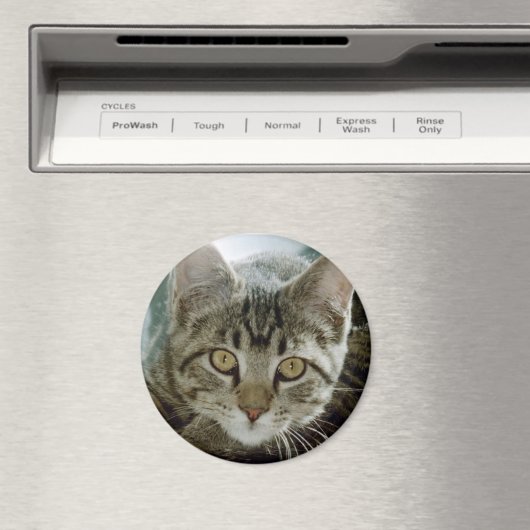 Foto-Magnet - Anpassen mit Ihrem eigenen Tier Magnet (In Situ (Geschirrspüler))