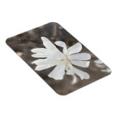 Foto-Magnet für die weiße Blume Magnet (Rechte Seite)
