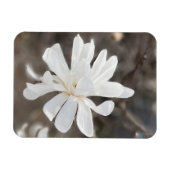 Foto-Magnet für die weiße Blume Magnet (Horizontal)