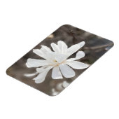 Foto-Magnet für die weiße Blume Magnet (Linke Seite)