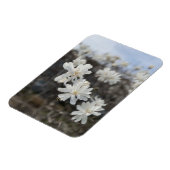 Foto-Magnet für die weiße Blume Magnet (Linke Seite)