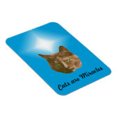 Foto Magnet - Katzen sind Wunder (Rechte Seite)