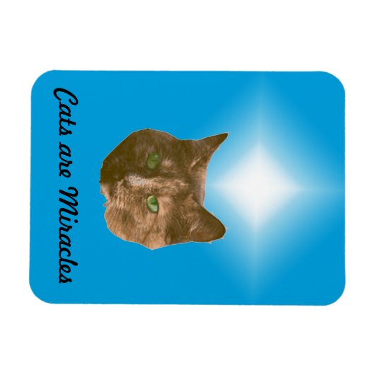 Foto Magnet - Katzen sind Wunder (Horizontal)