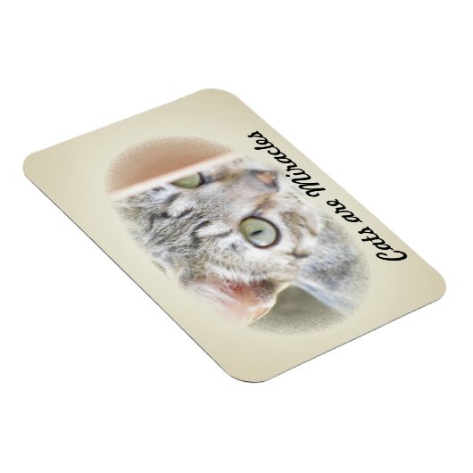 Foto Magnet - Katzen sind Wunder 2 (Rechte Seite)