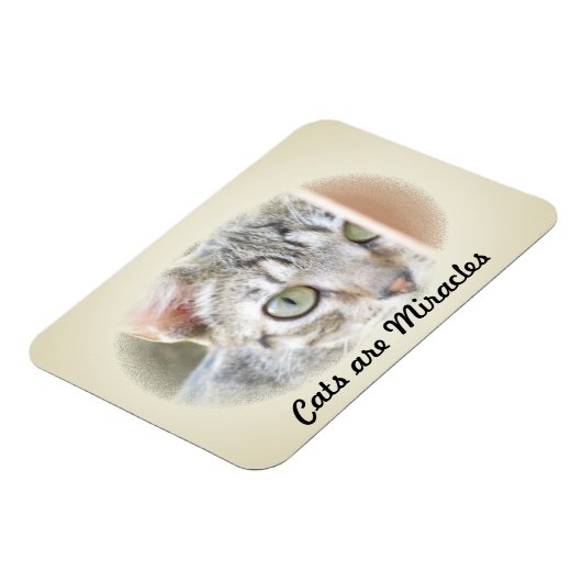 Foto Magnet - Katzen sind Wunder 2 (Linke Seite)