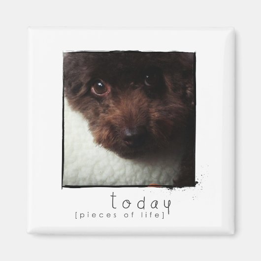 Foto-Magnet Magnet (Vorne)