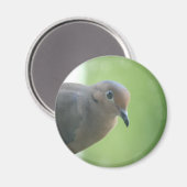 Foto-Magnet Magnet (Vorderseite/Rückseite)