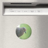 Foto-Magnet Magnet (In Situ (Geschirrspüler))