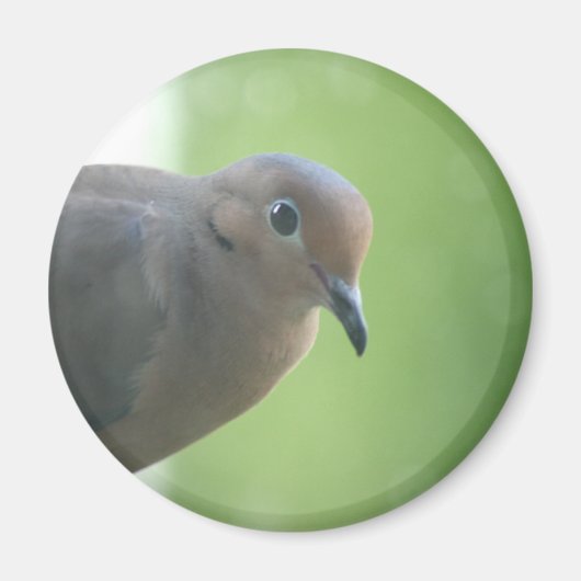 Foto-Magnet Magnet (Vorne)