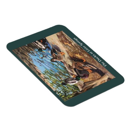 Foto-Magnet mit Enten Magnet (Rechte Seite)