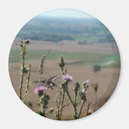 Foto Magnet Natur und Schmetterling (Vorne)