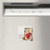 Foto-Magnete Magnet (In Situ (Geschirrspüler))