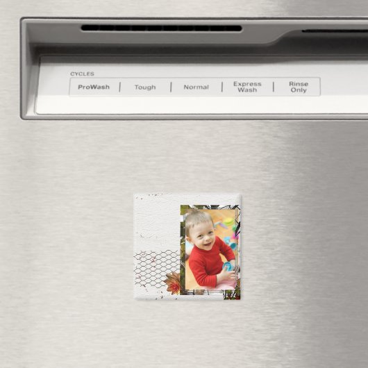 Foto-Magnete Magnet (In Situ (Geschirrspüler))