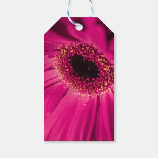 Foto, Makro Geschenkanhänger (Vorderseite)