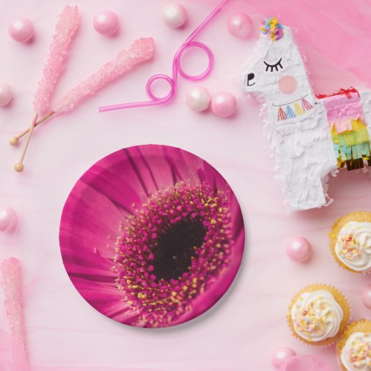 Foto, Makro Pappteller (Party)