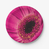 Foto, Makro Pappteller (Vorderseite)