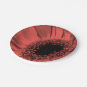 Foto, Makro Pappteller (Schrägansicht)