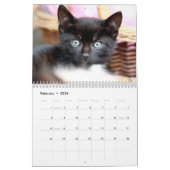 Foto-Mauerkalender für Schwarze Kätzchen Kalender (Feb 2026)