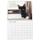 Foto-Mauerkalender für Schwarze Kätzchen Kalender (Jan 2026)