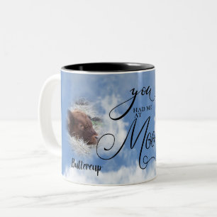 Foto Memorial Beileid Sie hatten mich bei Meow Zweifarbige Tasse