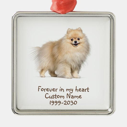 Foto-Memorial Keepake-Dog Ornament Aus Metall (Vorne)