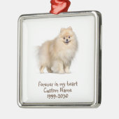 Foto-Memorial Keepake-Dog Ornament Aus Metall (Links)