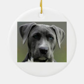 Foto-Memorial Keepake Pet Hund Keramik Ornament (Hinten)