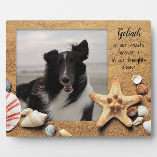 Foto Memory Stehend Beach Muscheln Fotoplatte (Vorderseite)