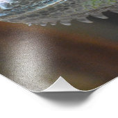 Foto mit dem Kopf einer farbenfrohen Iguana-Eidech (Ecke)