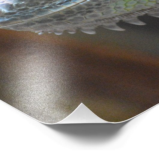 Foto mit dem Kopf einer farbenfrohen Iguana-Eidech (Ecke)